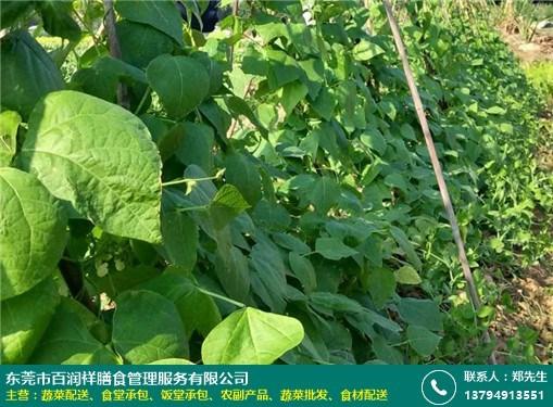 中石化加油卡怎么办理送人，这几个细节别忽略
